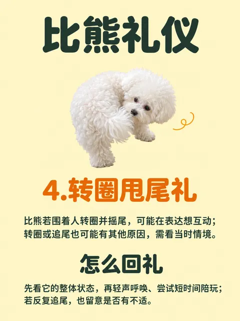 P4成图
