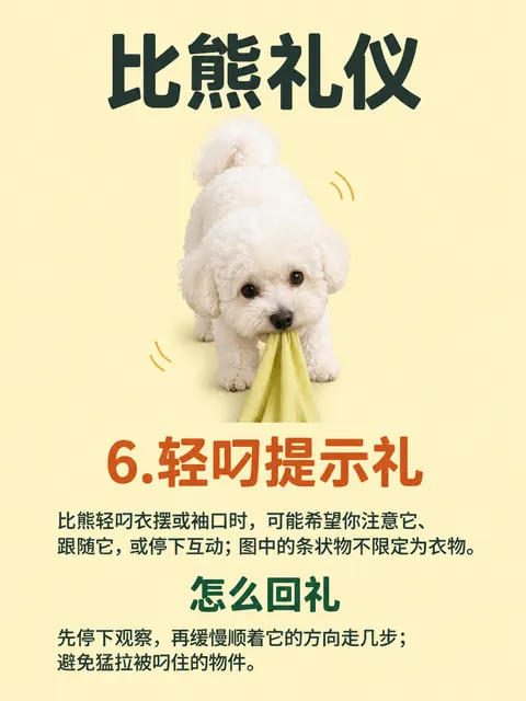 P6成图