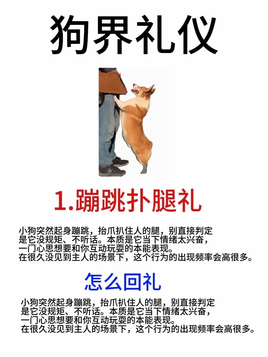 01.png